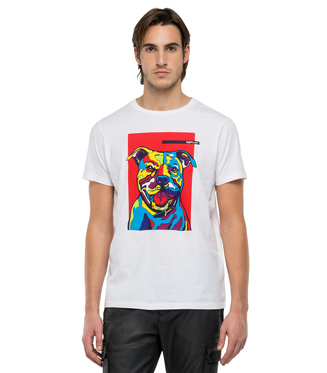 ベーシックジャージー DogプリントTシャツ 詳細画像 ホワイト 1